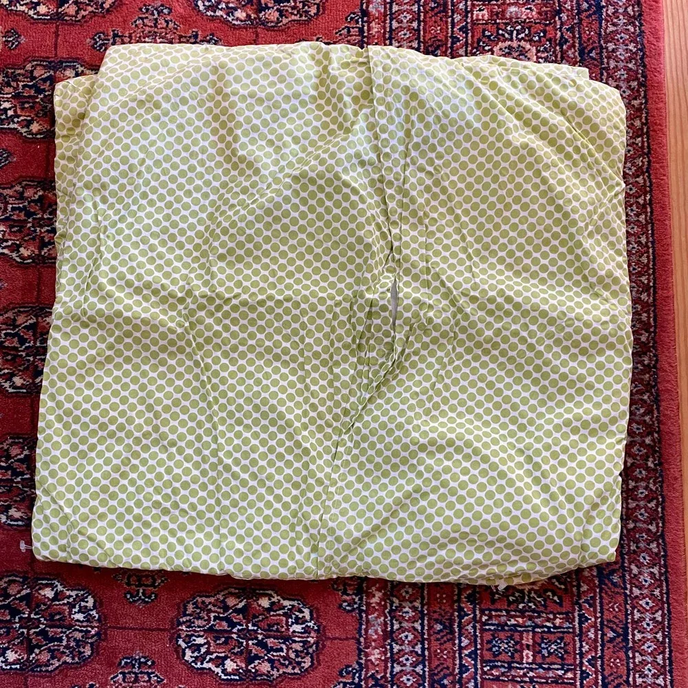 PB Teen Set of 2 Square Quilted Floral‎ Pattern Green Polka Dot Pillow Shams